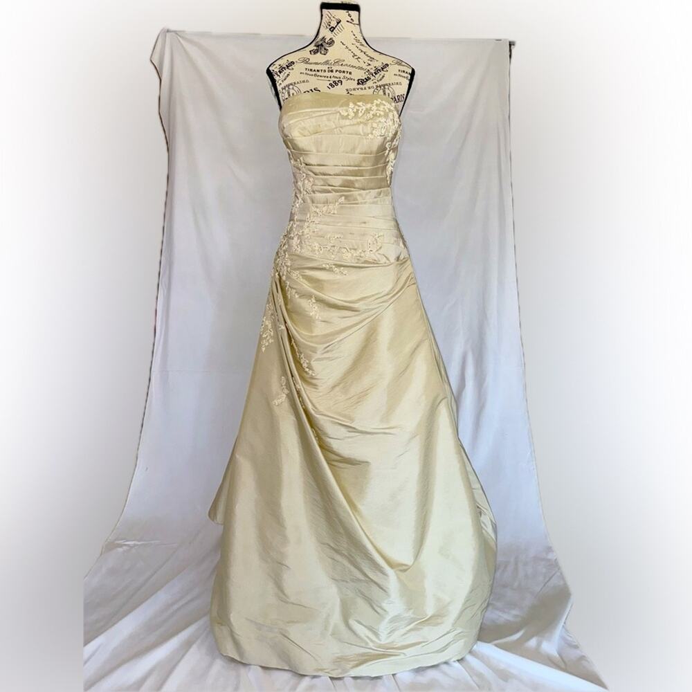 Gorgeous Saint Patrick (Pronovias) Champagne Strapless Taffeta Wedding Gown